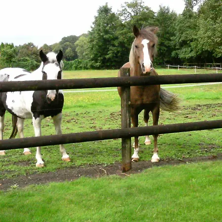 Apartment Riggers Hof