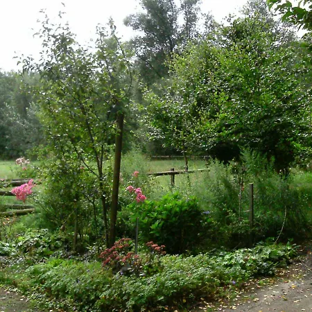 Riggers Hof Apartment *