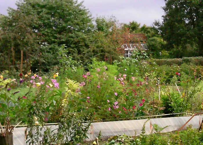 Riggers Hof 아파트 비첸도프