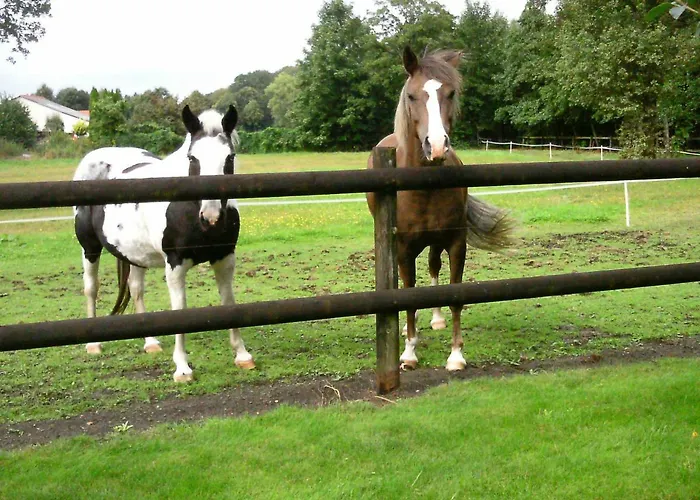 아파트 Riggers Hof