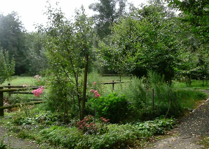 Riggers Hof 아파트 *