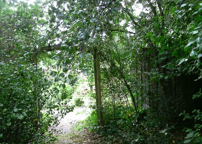 아파트 Riggers Hof