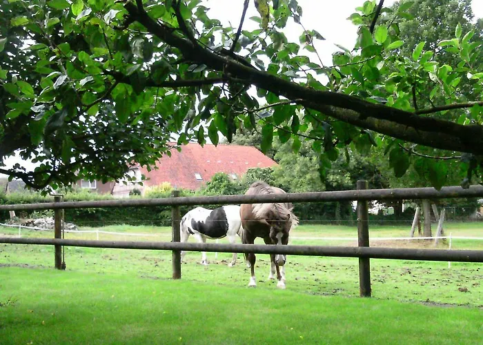 Riggers Hof 비첸도프